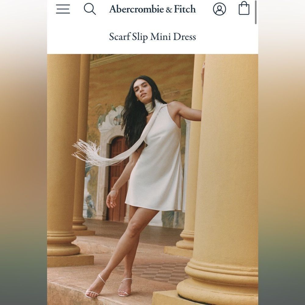 Abercrombie Scarf Slip Mini Dress
